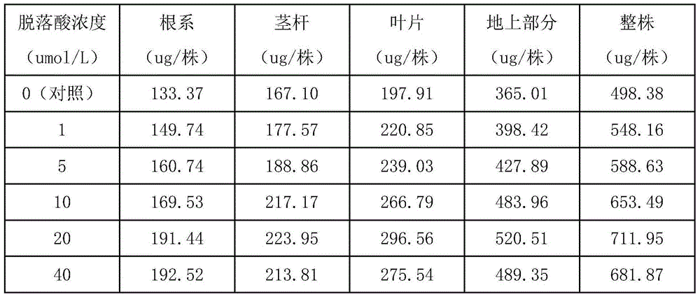 Method for improving cadmium-contaminated orchard soil remediation capability of solanum photeinocarpum