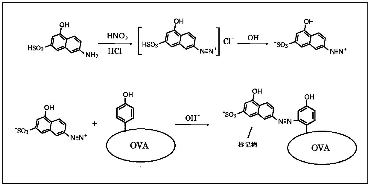 Antibody array card for detecting three mycotoxins by using difunctional antigen-guided universal signal