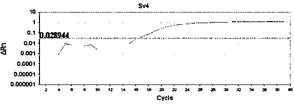 Detection method formolecular typing of acinetobacter baumannii (Ab) Sv4-serotype O antigen