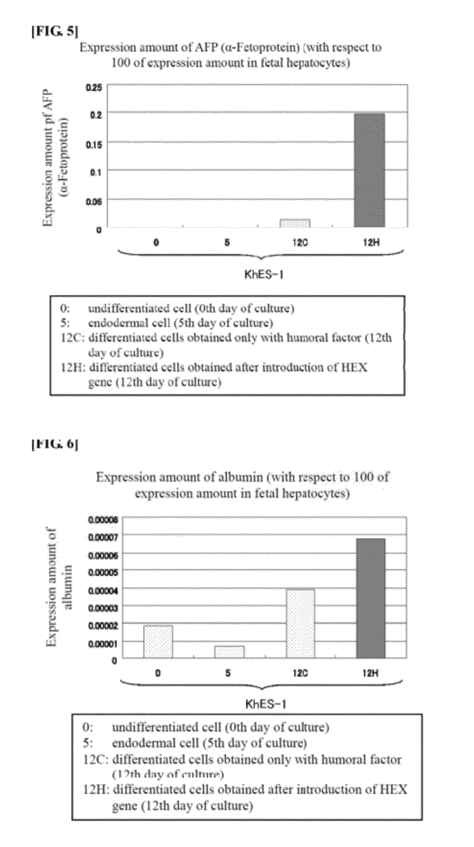 Method Of Differentiation From Stem Cells To Hepatocytes