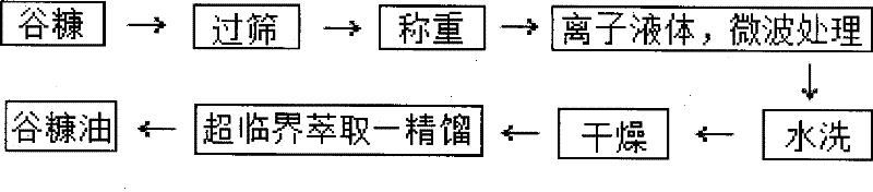 Method for extracting rice bran oil by using ionic liquid and supercritical carbon dioxide (CO2)