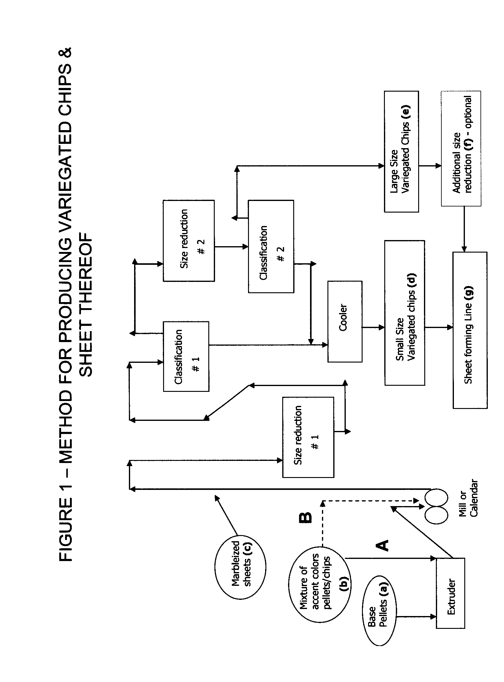 Floor Covering Composition Containing Renewable Polymer