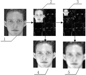 Face identification method based on wavelet multi-scale analysis and local binary pattern