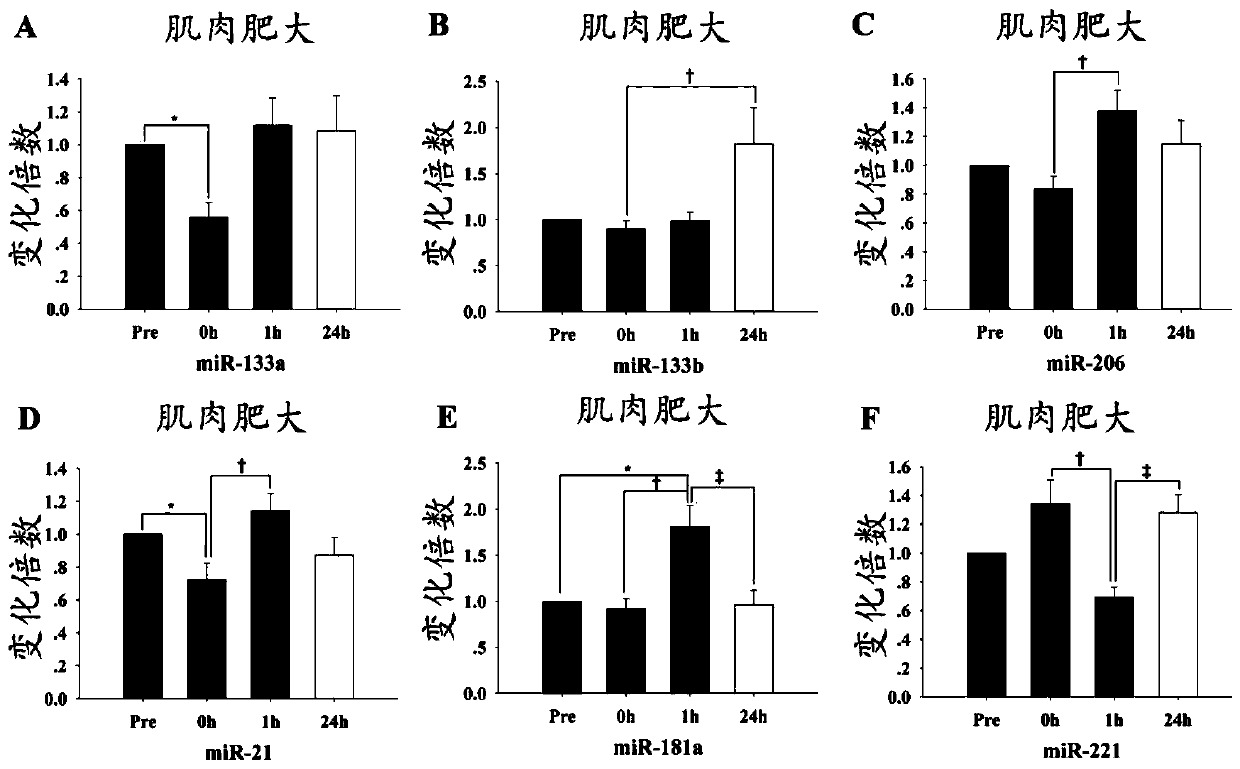 Detection and evaluation of miRNA markers for strength training effects or combinations thereof and applications thereof