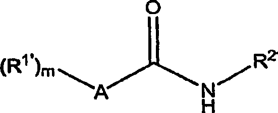 Comestible compositions comprising high potency savory flavorants, and processes for producing them