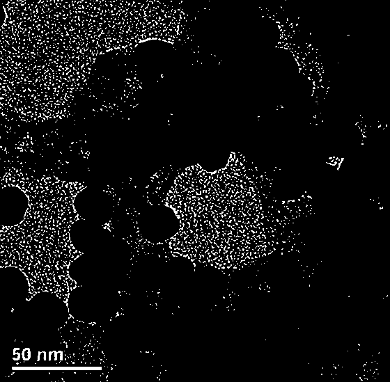 Gadolinium-gold composite silicone nanomaterial and preparation method and application thereof