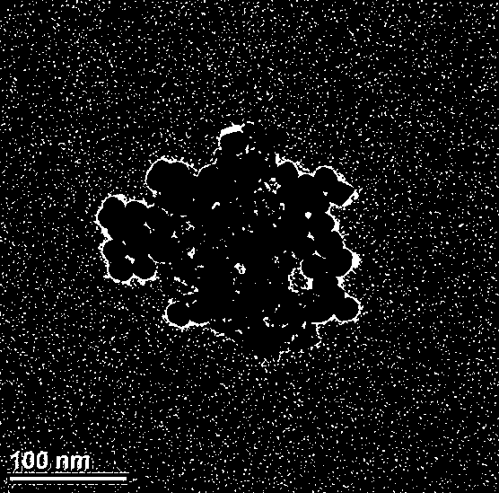 Gadolinium-gold composite silicone nanomaterial and preparation method and application thereof