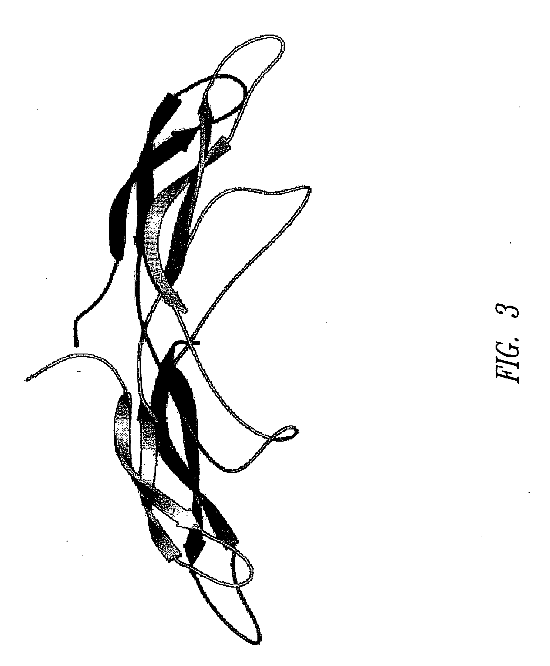 Antibodies specific for sclerostin and methods for increasing bone mineralization