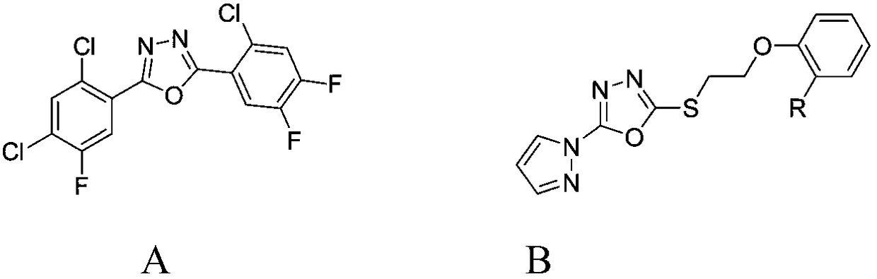 Benzofuryl-containing 1, 3, 4-oxadiazole compound