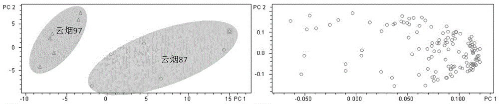 Metabonomics analytical method for tobacco pollen based on chromatography-mass spectrometry