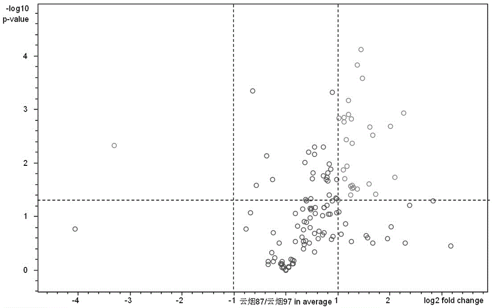 Metabonomics analytical method for tobacco pollen based on chromatography-mass spectrometry