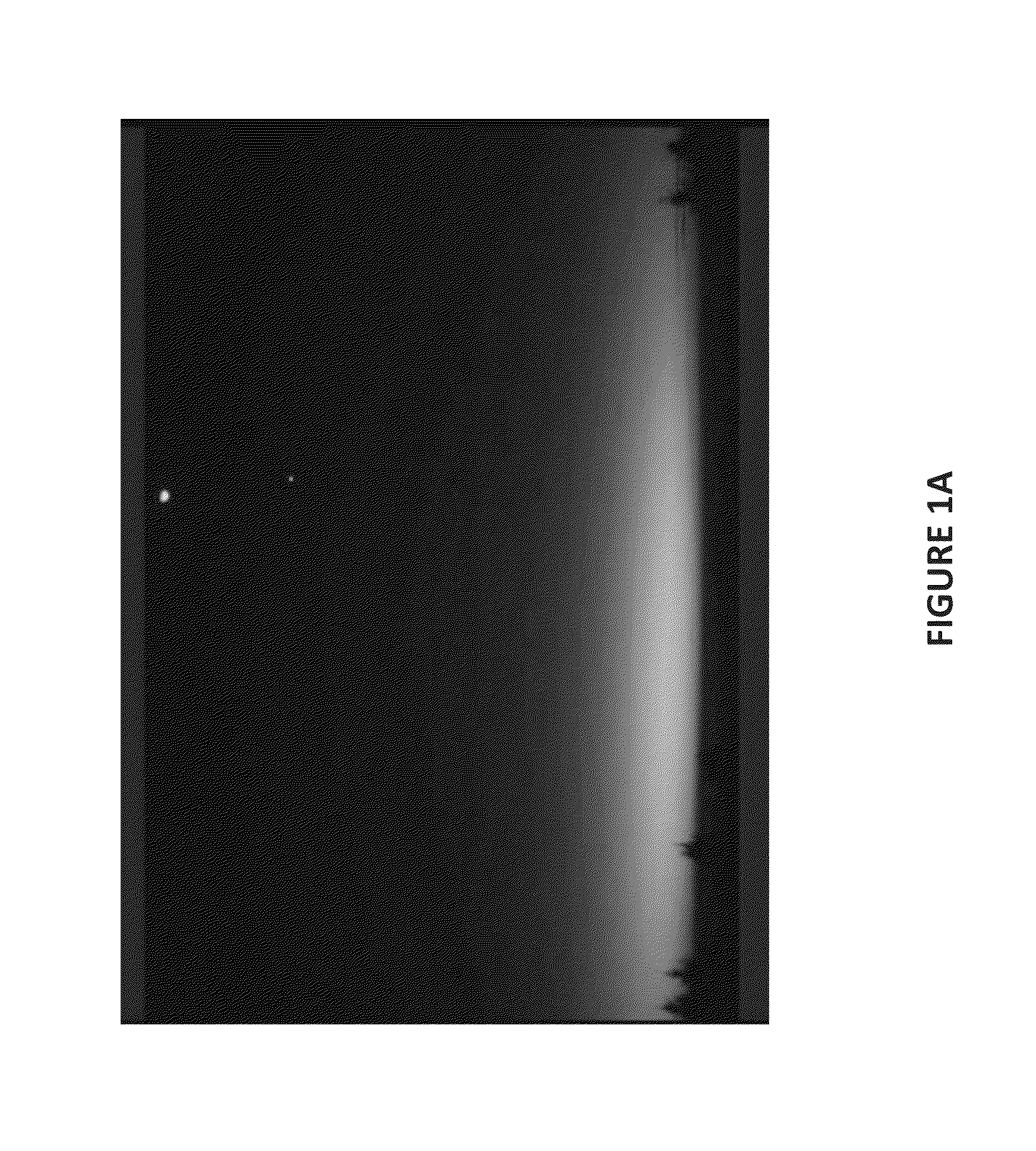 Real-Time Solar Observations