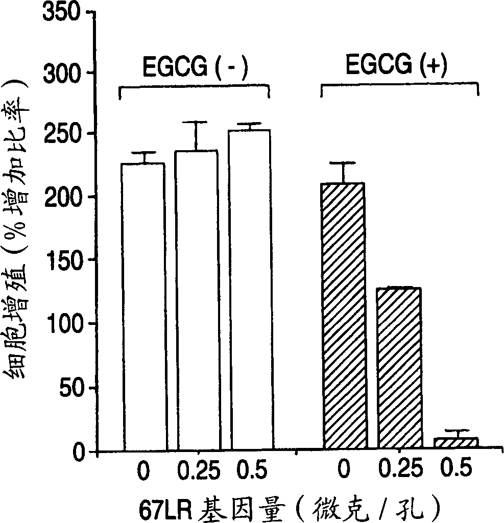 Method of screening drug with the use of 67 KDA laminin receptor and drug obtained thereby