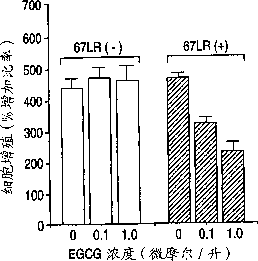 Method of screening drug with the use of 67 KDA laminin receptor and drug obtained thereby