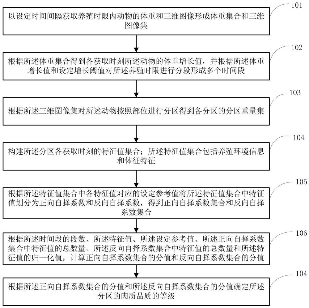 A meat quality grading method and system for live animals without slaughter