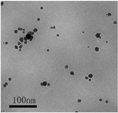 Preparation method of gold nanoparticles