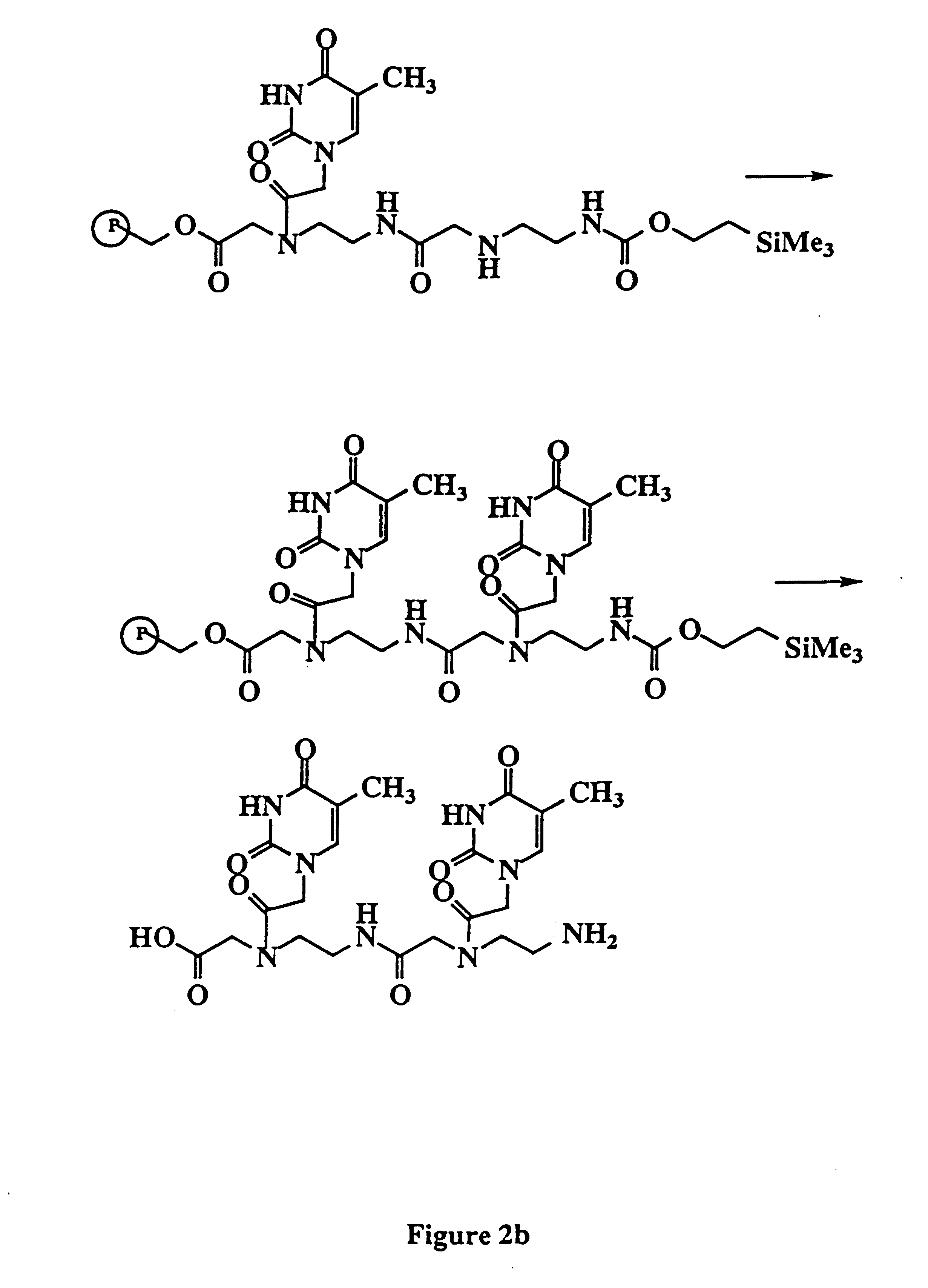 PNA combinatorial libraries and improved methods of synthesis