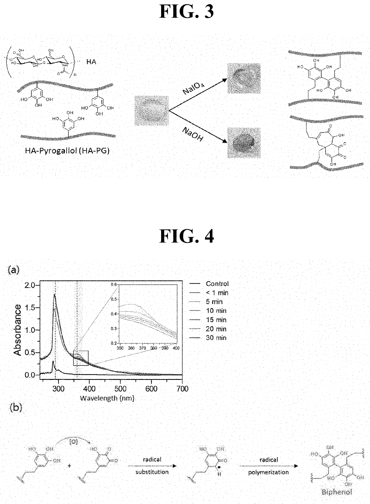 Hyaluronic acid derivative and use thereof