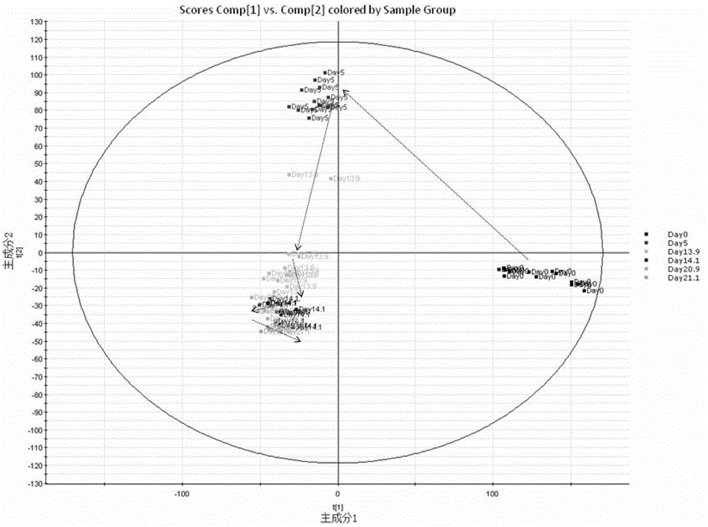 Metabonomics analysis method base on acute anaphylactic reaction