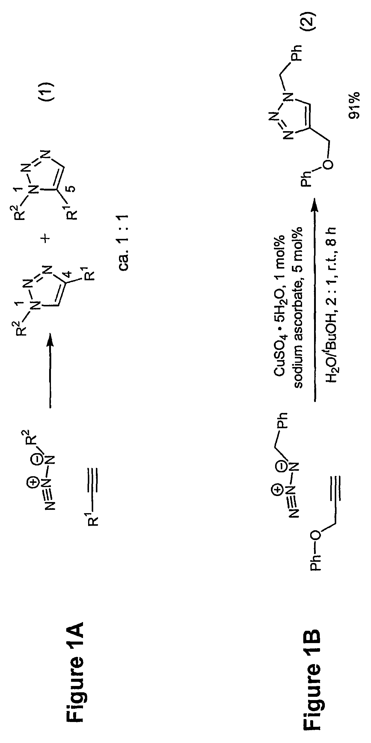 Copper-catalysed ligation of azides and acetylenes