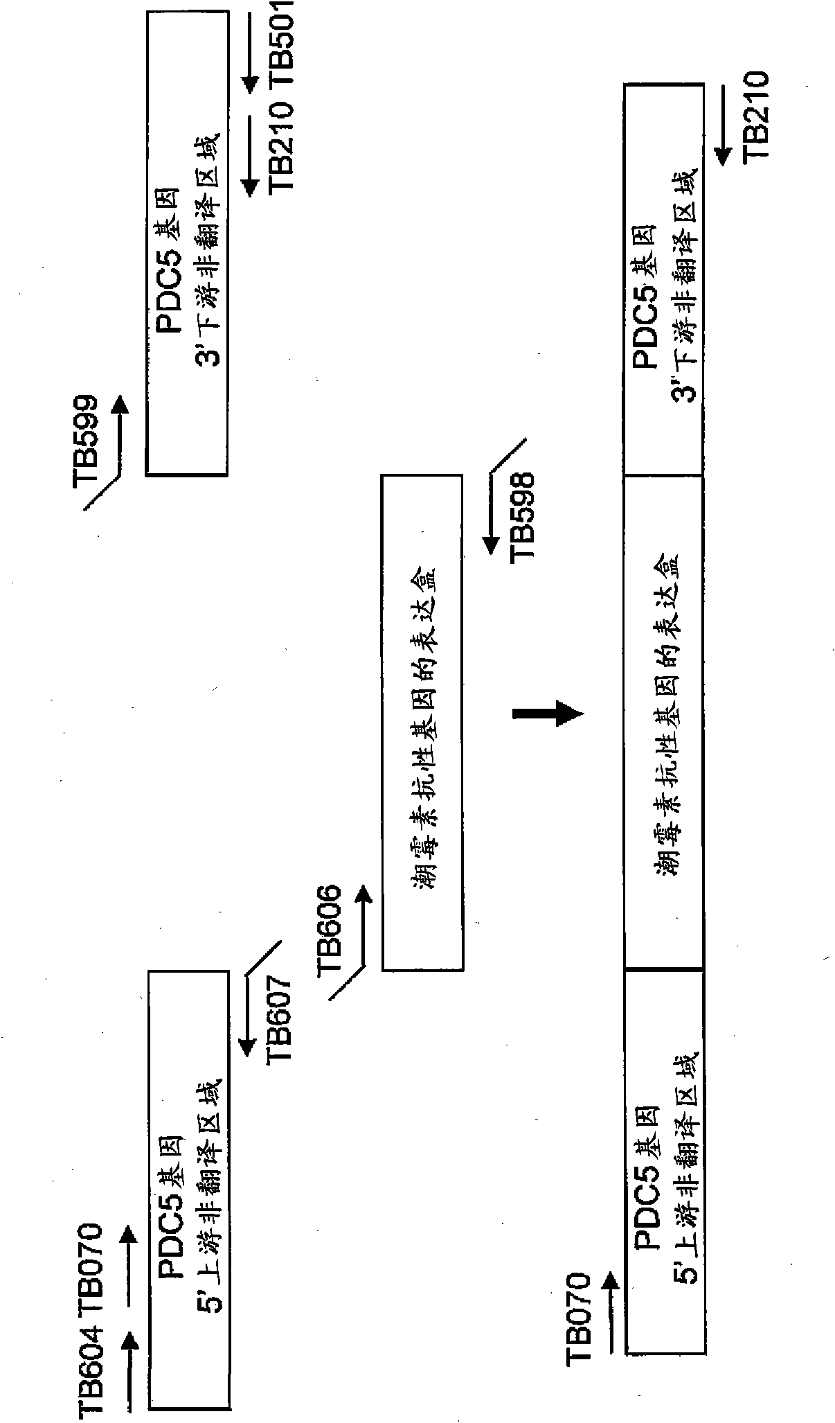 Yeast mutant and substance production method using the same