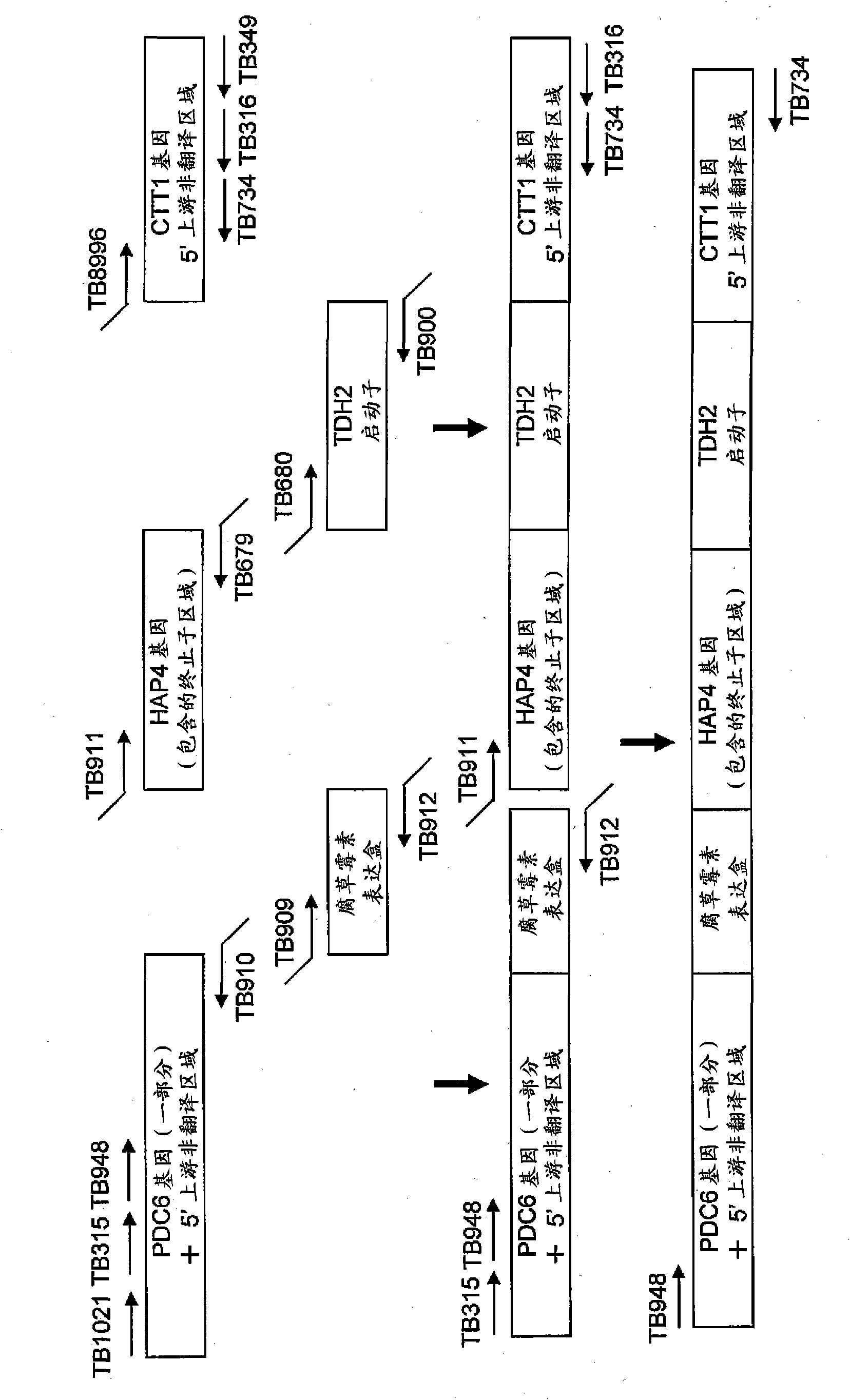 Yeast mutant and substance production method using the same