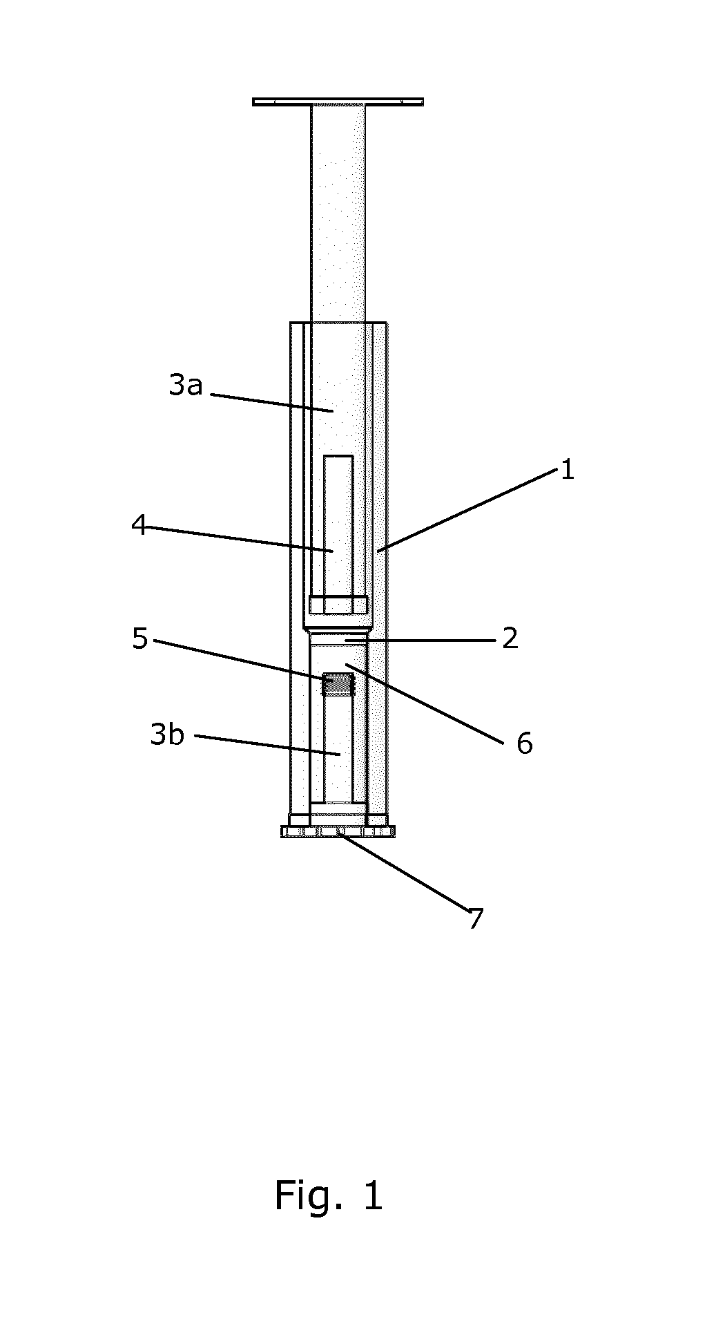 Syringe with a hollow plunger