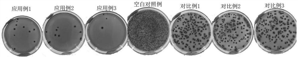 A kind of Jerusalem artichoke root extract and application of antibacterial activity