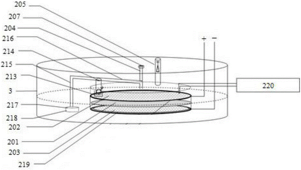 Hydrogen-rich food making machine