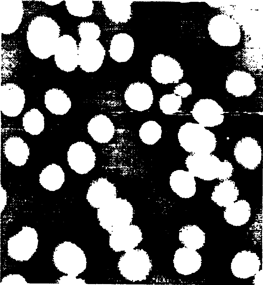 High solid content core-shell structure nano acrylic ester micro-emulsion and synthetic method thereof