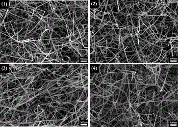 Preparation method of rare earth element Sm-doped GaN nano wire