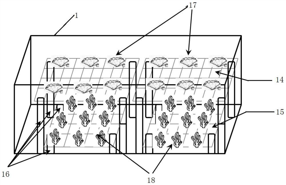 A land-based culture system for giant clams and corals and a mixed culture method thereof