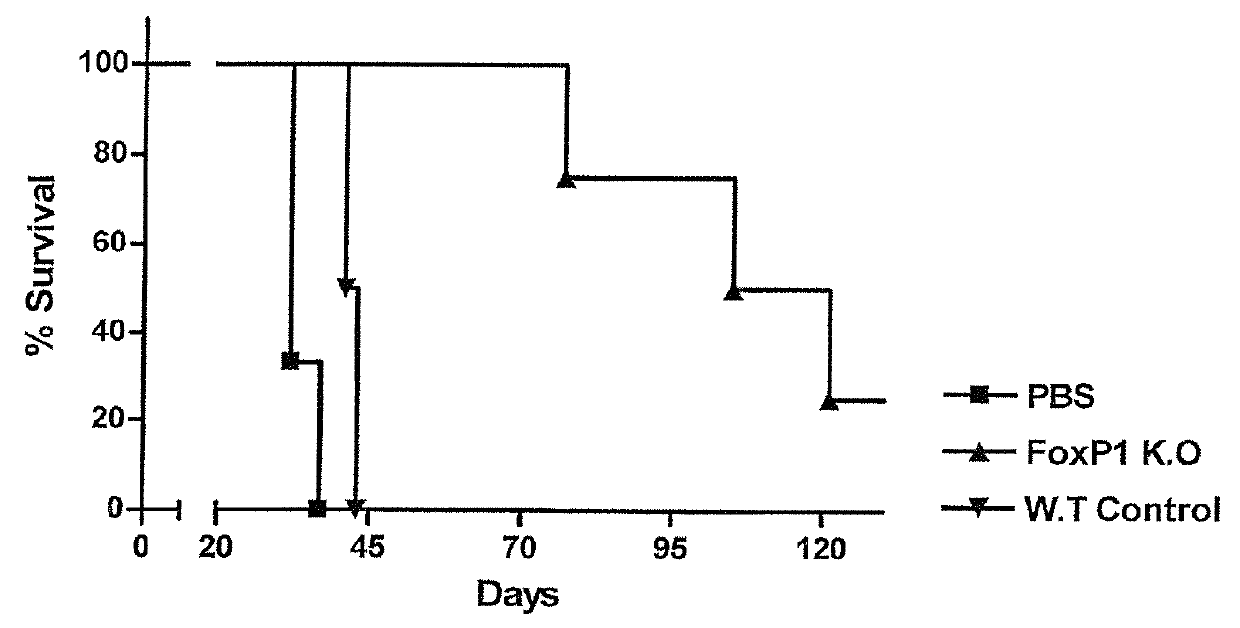 Methods and compositions for enhancing the therapeutic effect of anti-tumor T cells