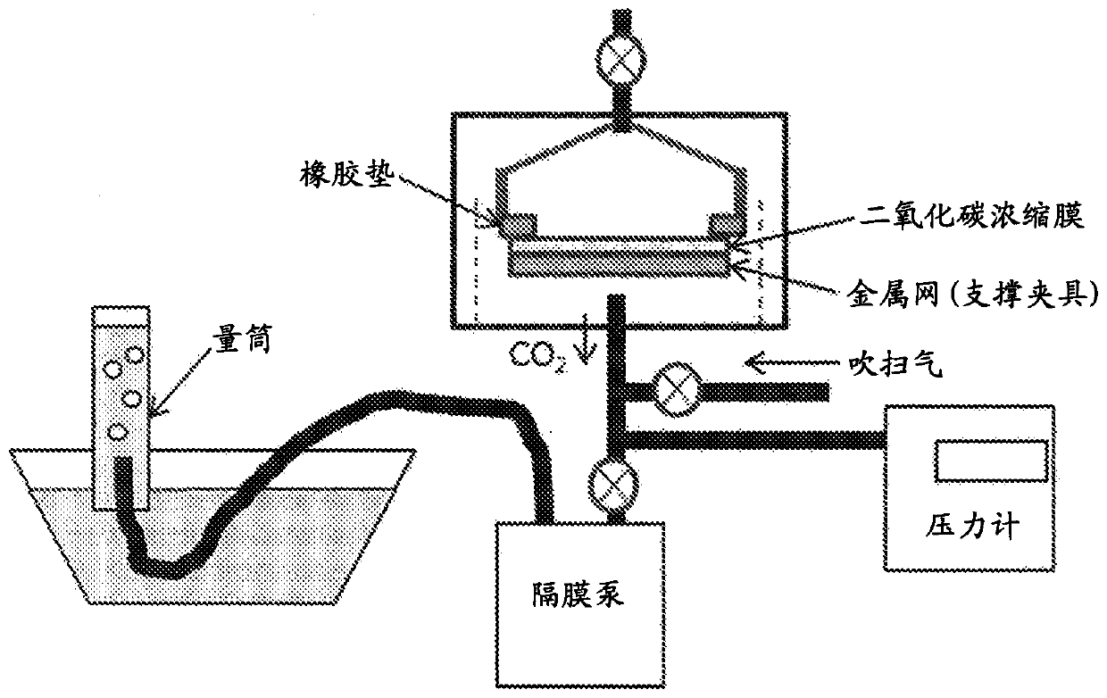 Carbon dioxide separation membrane and production method therefor