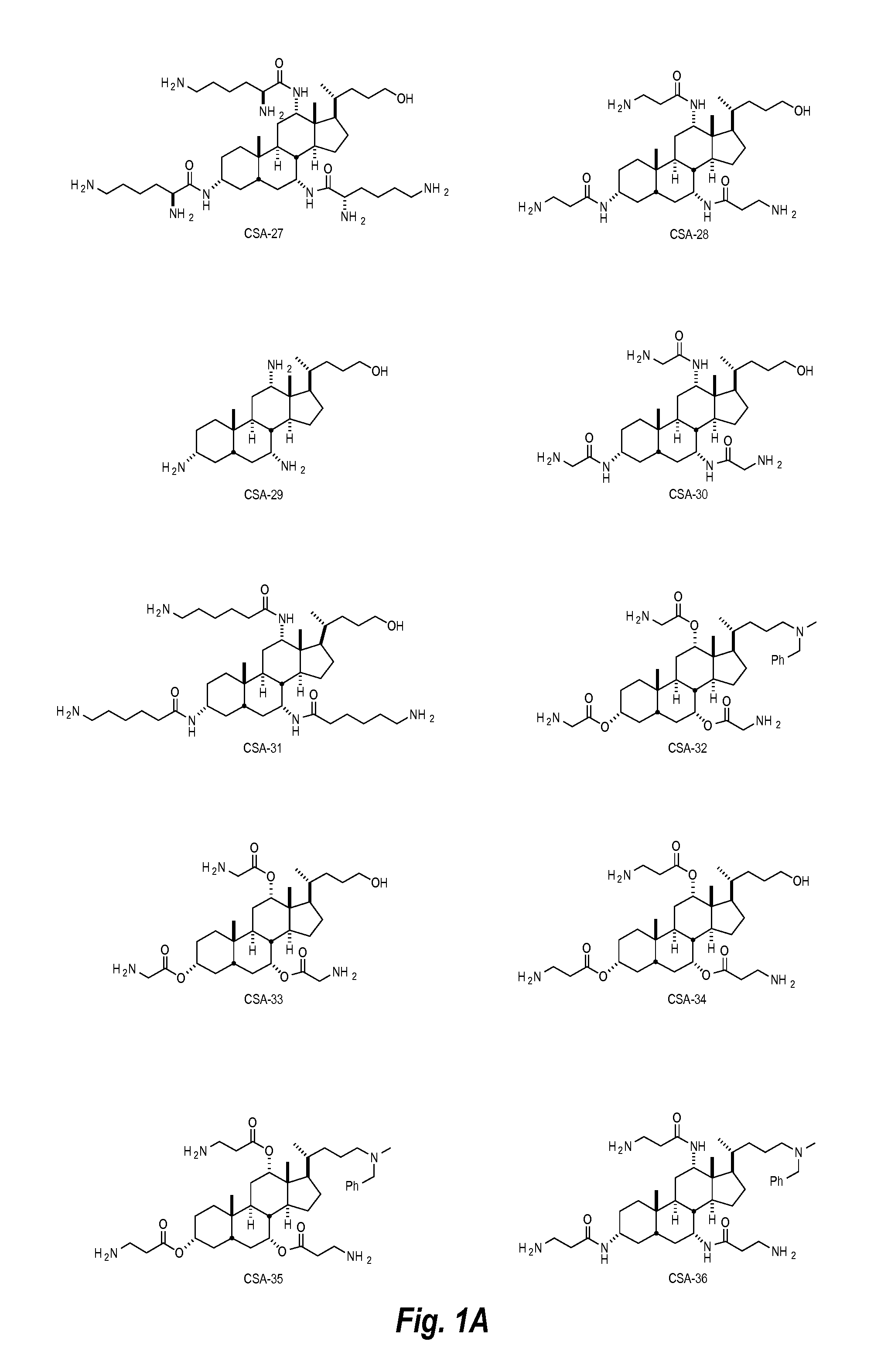 Anti-microbial food processing compositions including ceragenin compounds and methods of use