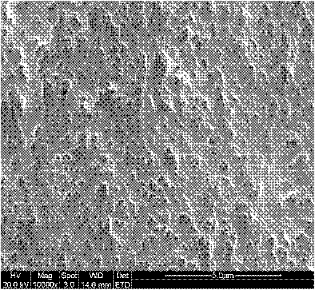 Porous-structure composite material for IUD (Intrauterine Device) and producing method thereof