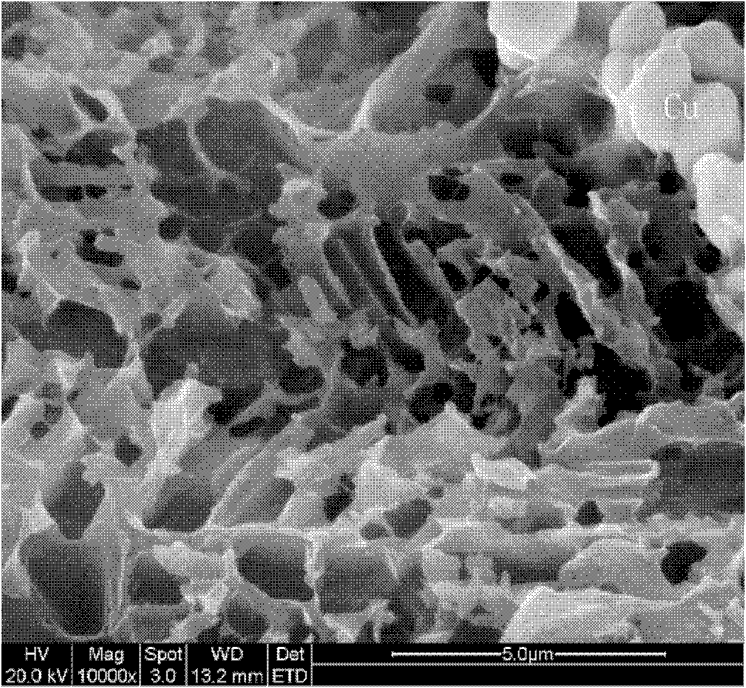 Porous-structure composite material for IUD (Intrauterine Device) and producing method thereof