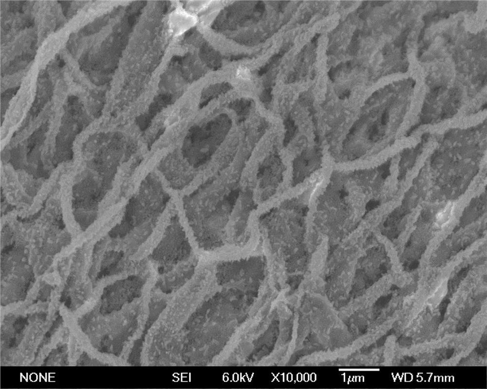 Preparation method and application of copper-cobalt oxide loaded carbon nanofiber composite material