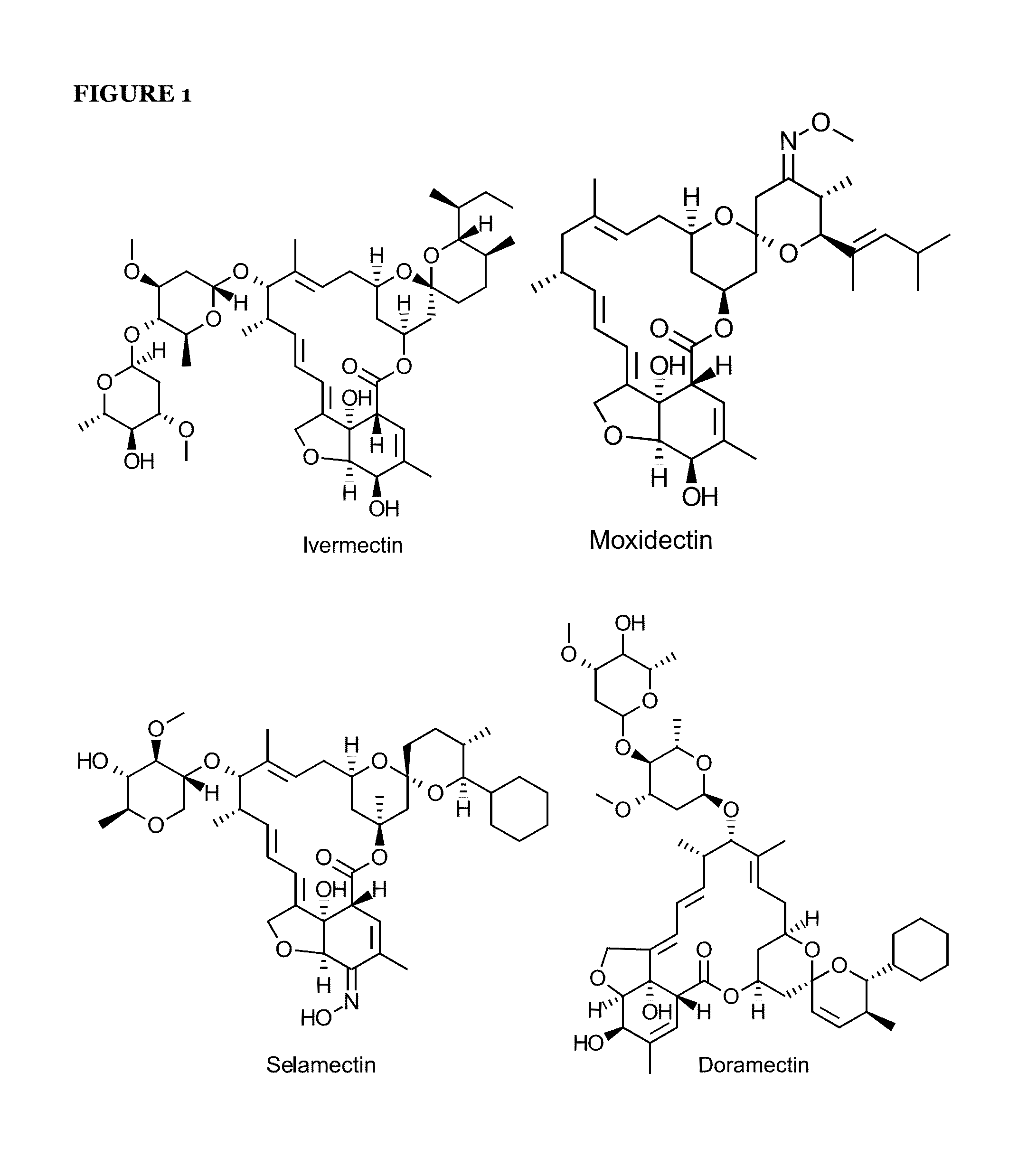 Avermectins and milbemycins as anti-mycobacterial agents