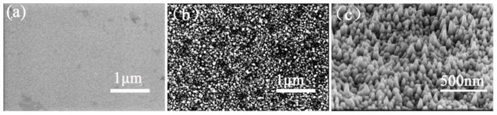 A boron-carbon-nitrogen film enveloping highly oriented boron nitride nanocrystals and preparation method thereof