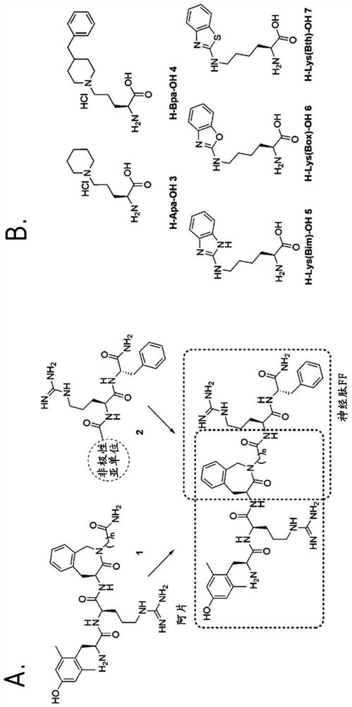 Hybrid mu opioid receptor and neuropeptide ff receptor binding molecules, their methods of preparation and applications in therapeutic treatment