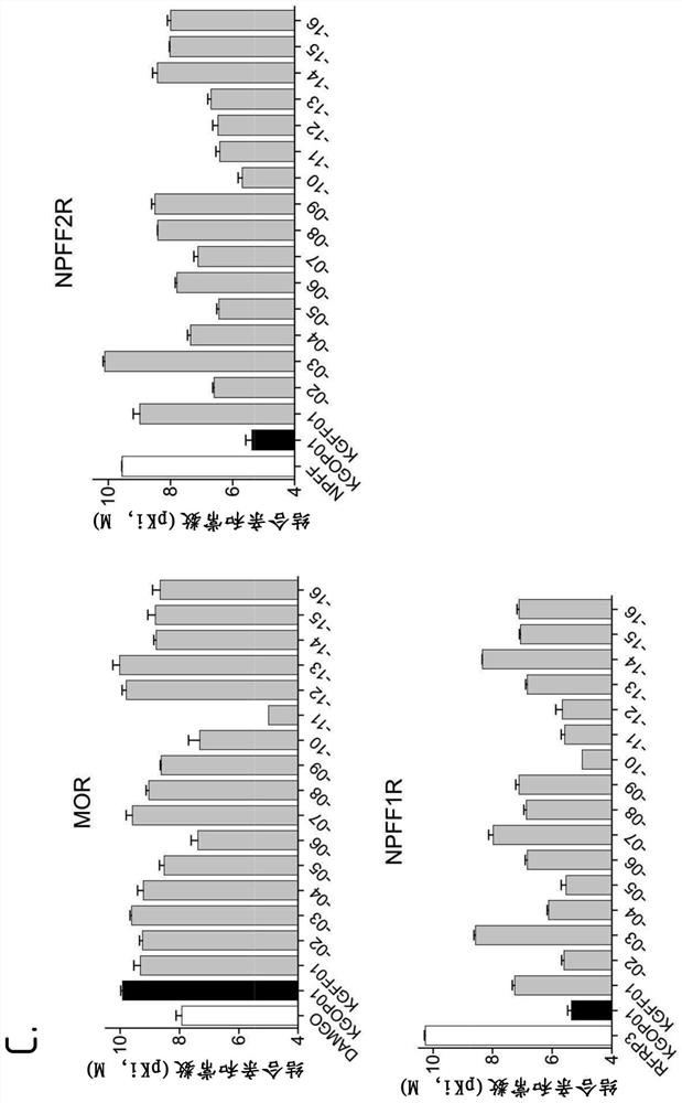 Hybrid mu opioid receptor and neuropeptide ff receptor binding molecules, their methods of preparation and applications in therapeutic treatment