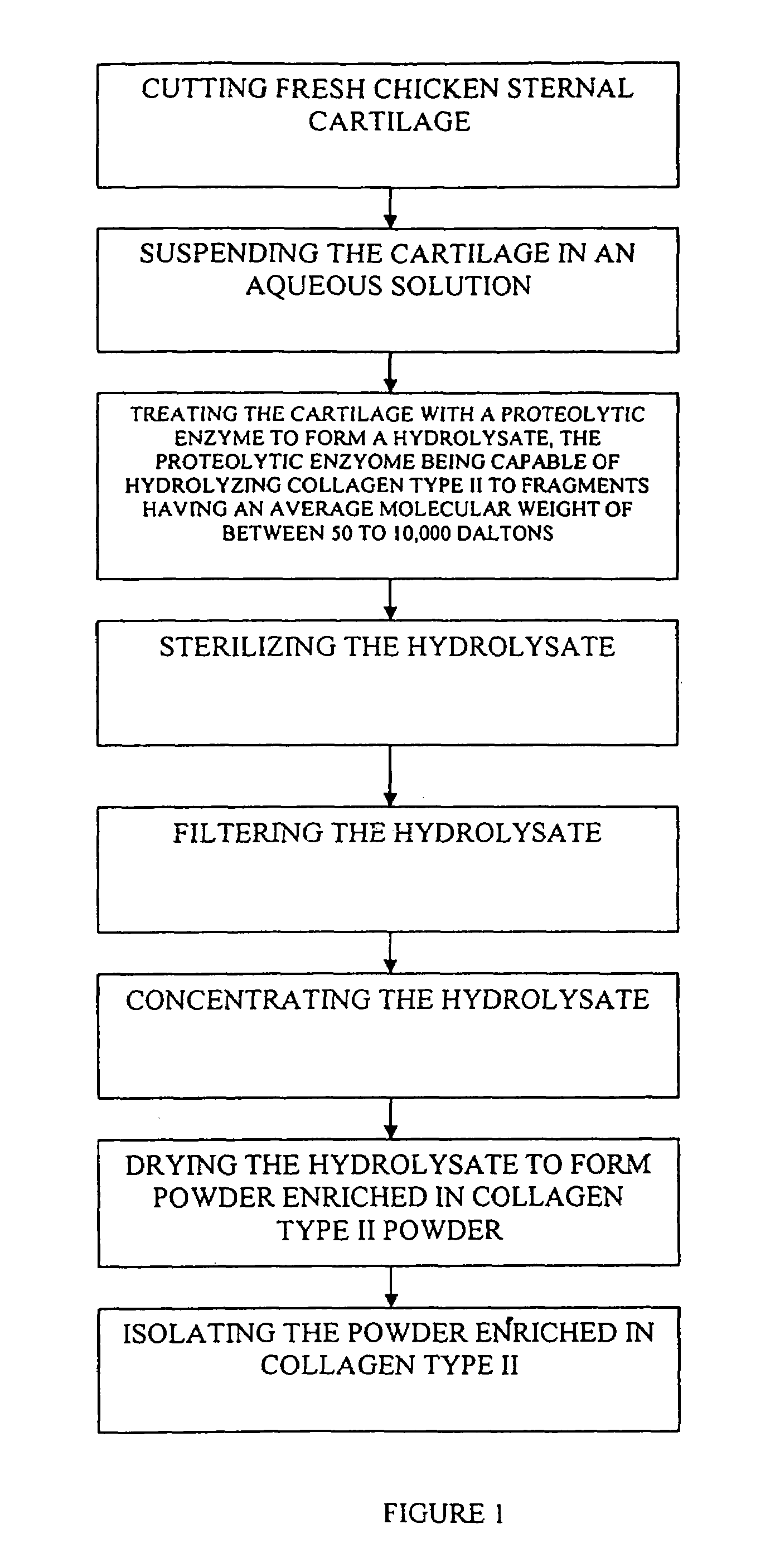 Hyaluronic acid and chondroitin sulfate based hydrolyzed collagen type II and method of making same