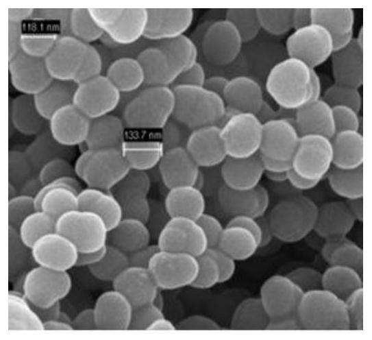 Low quantitative superhydrophobic filter paper and preparation method thereof