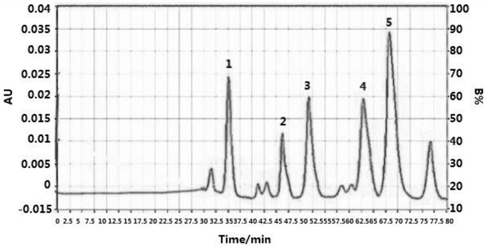 Method for preparing five anthocyanin standard substances from blueberry anthocyanin extract