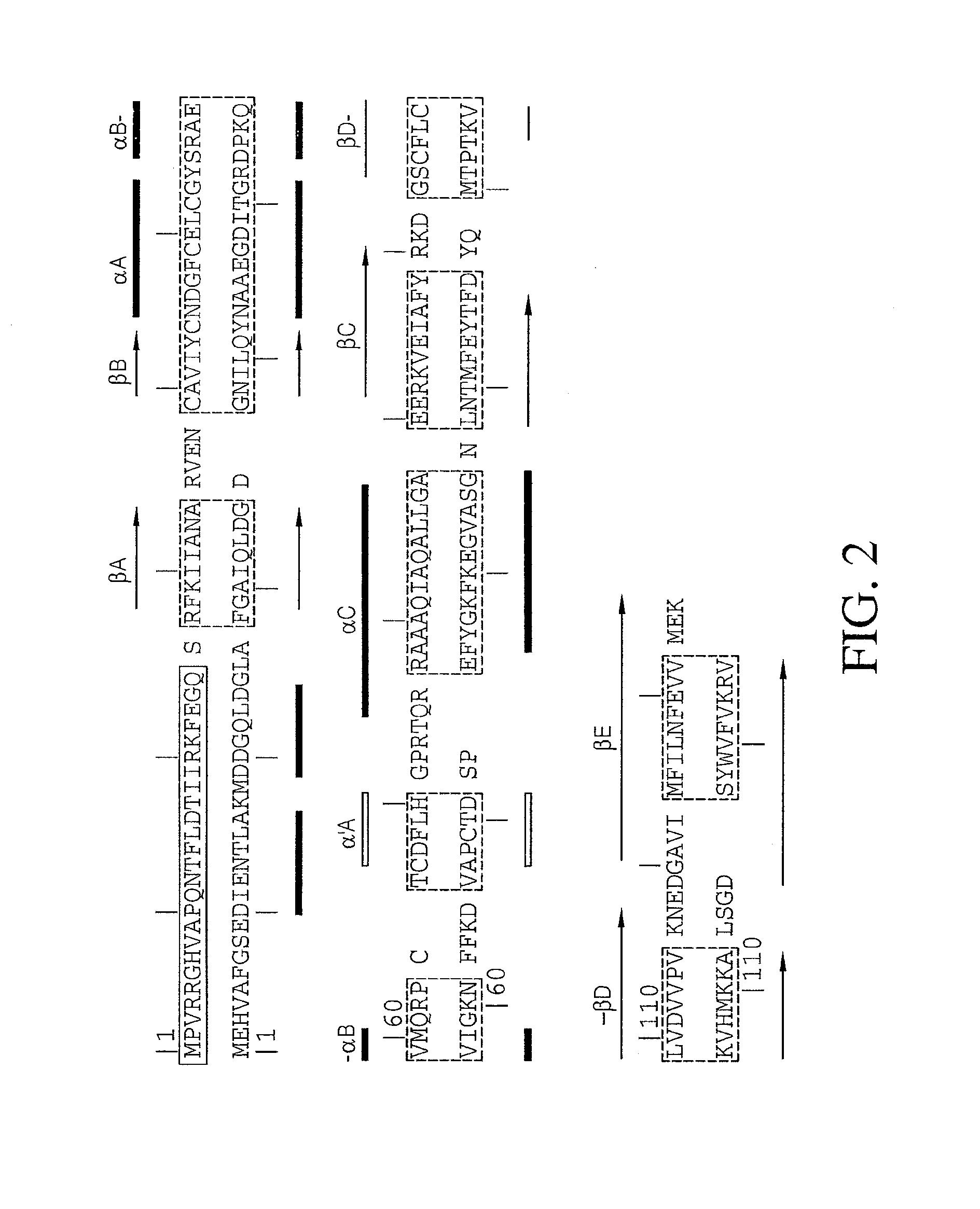 Schizophrenia-related isoform of kcnh2 and development of antipsychotic drugs