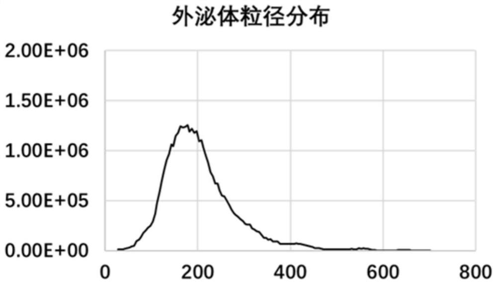 Umbilical cord mesenchymal stem cell exosome as well as extraction method and application thereof