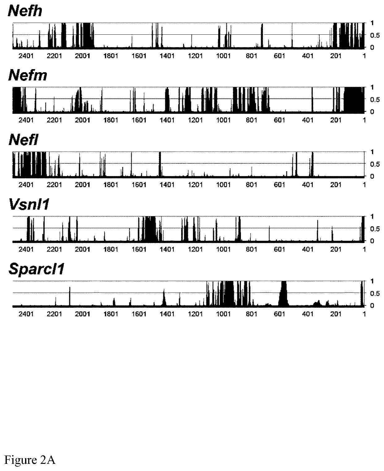 Retinal Promoter and Uses Thereof