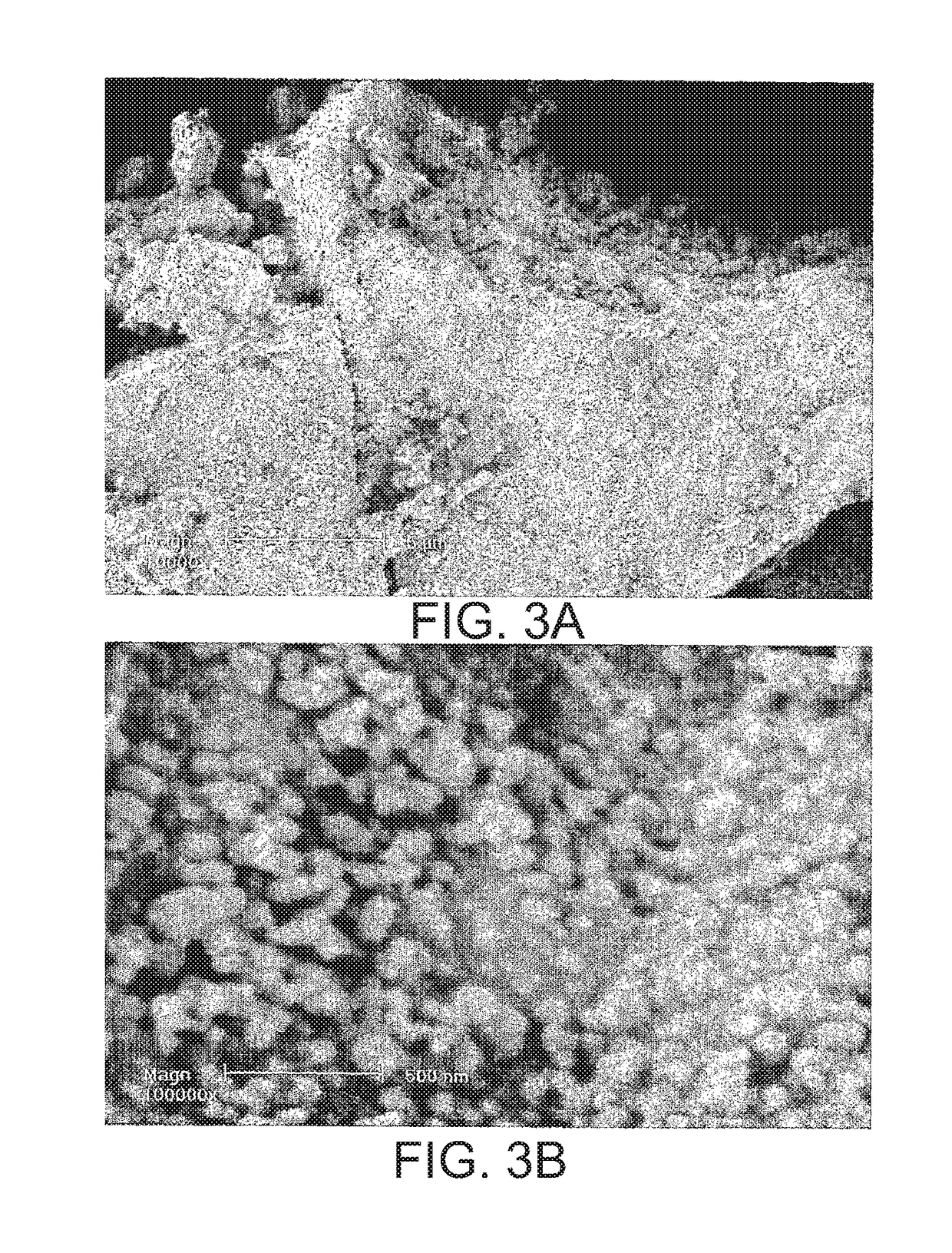 Methods for the preparation of biologically active compounds in nanoparticulate form