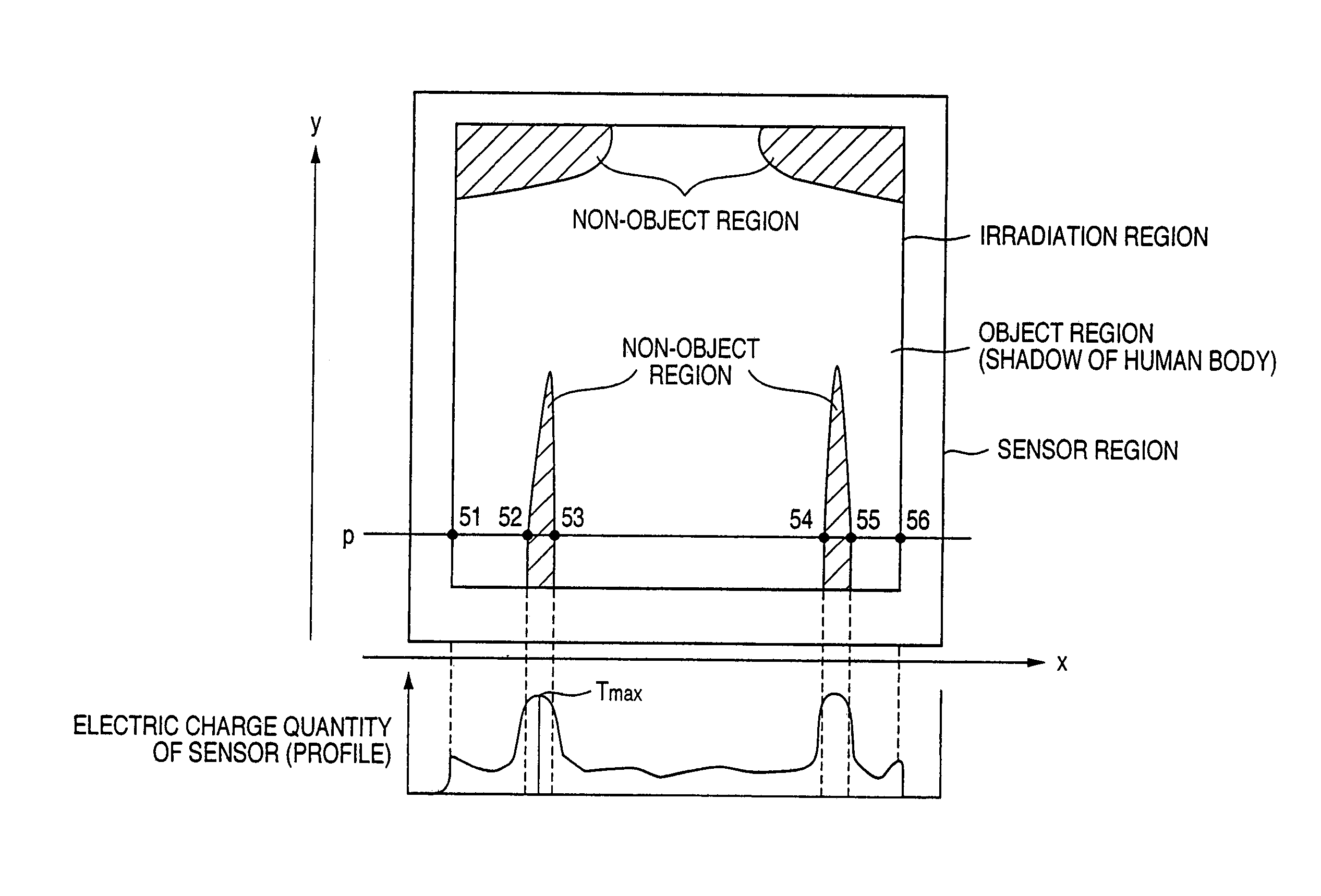 Area exposure dosimetry and area absorbed dosimetry